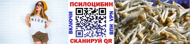 Псилоцибиновые грибы Psilocybine cubensis  Купить где  Усть-Илимск 