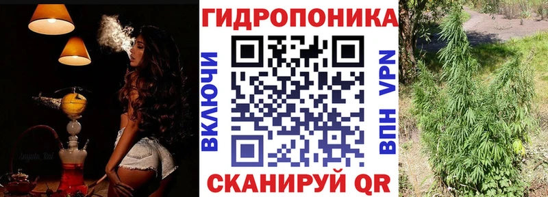 Марихуана сатива Купить где Усть-Илимск